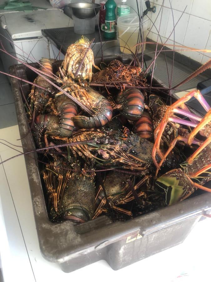 Paraiso Dos Corais Apartamento